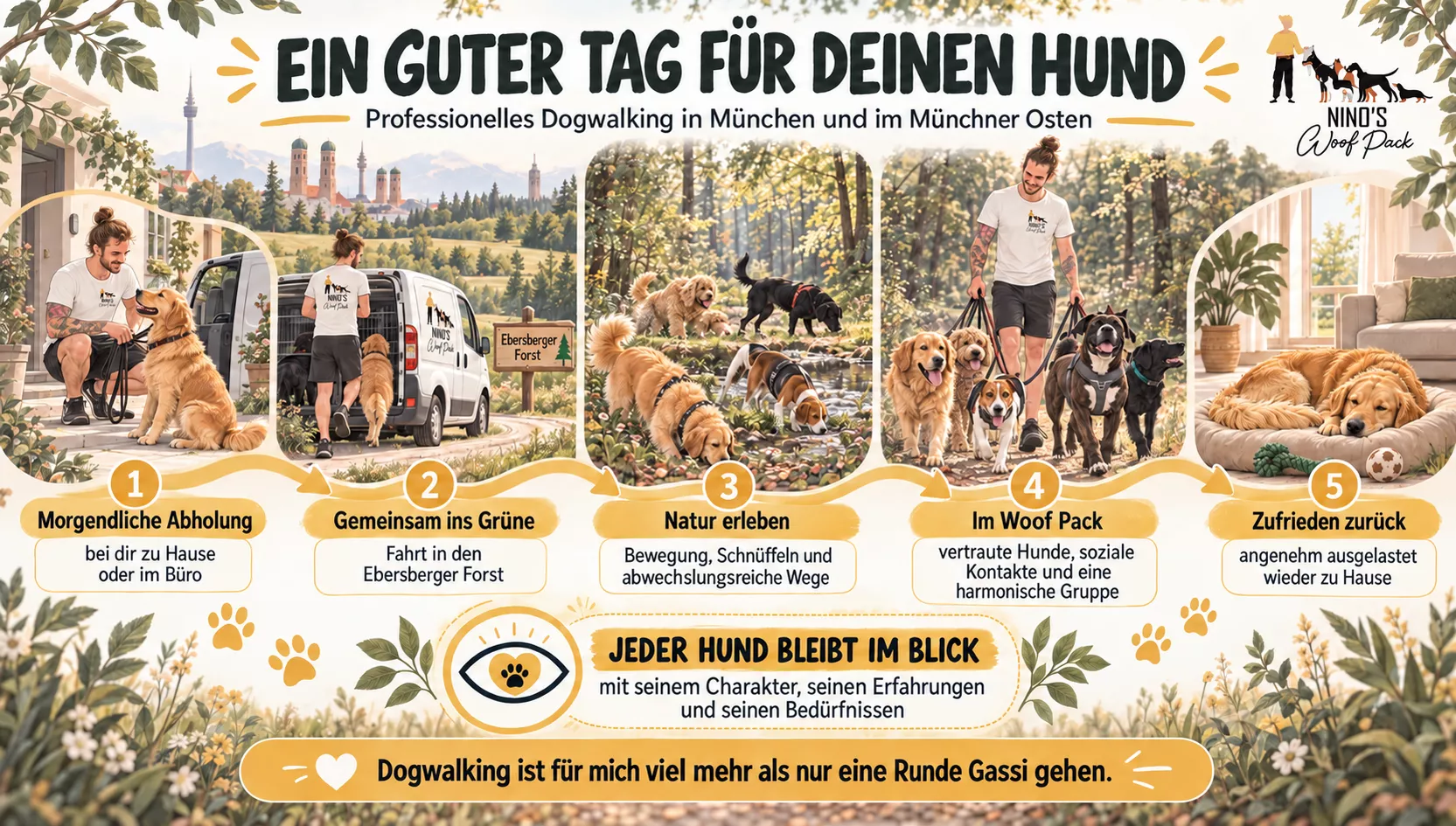 Infografik: Ablauf eines professionellen Dogwalkings in München