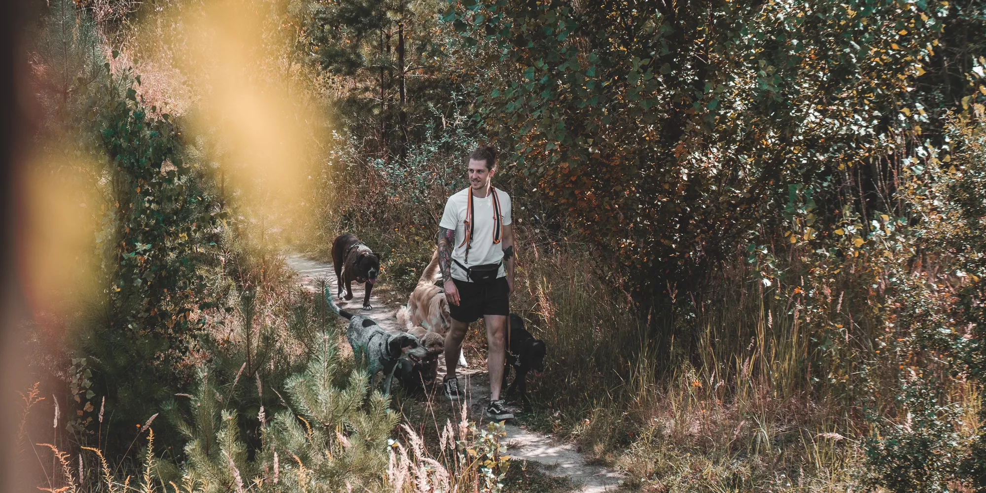 dogwalker-ninonell-muenchen-ost