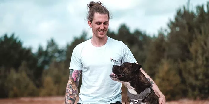 Nino Nell beim Suchspiel mit einem Hund