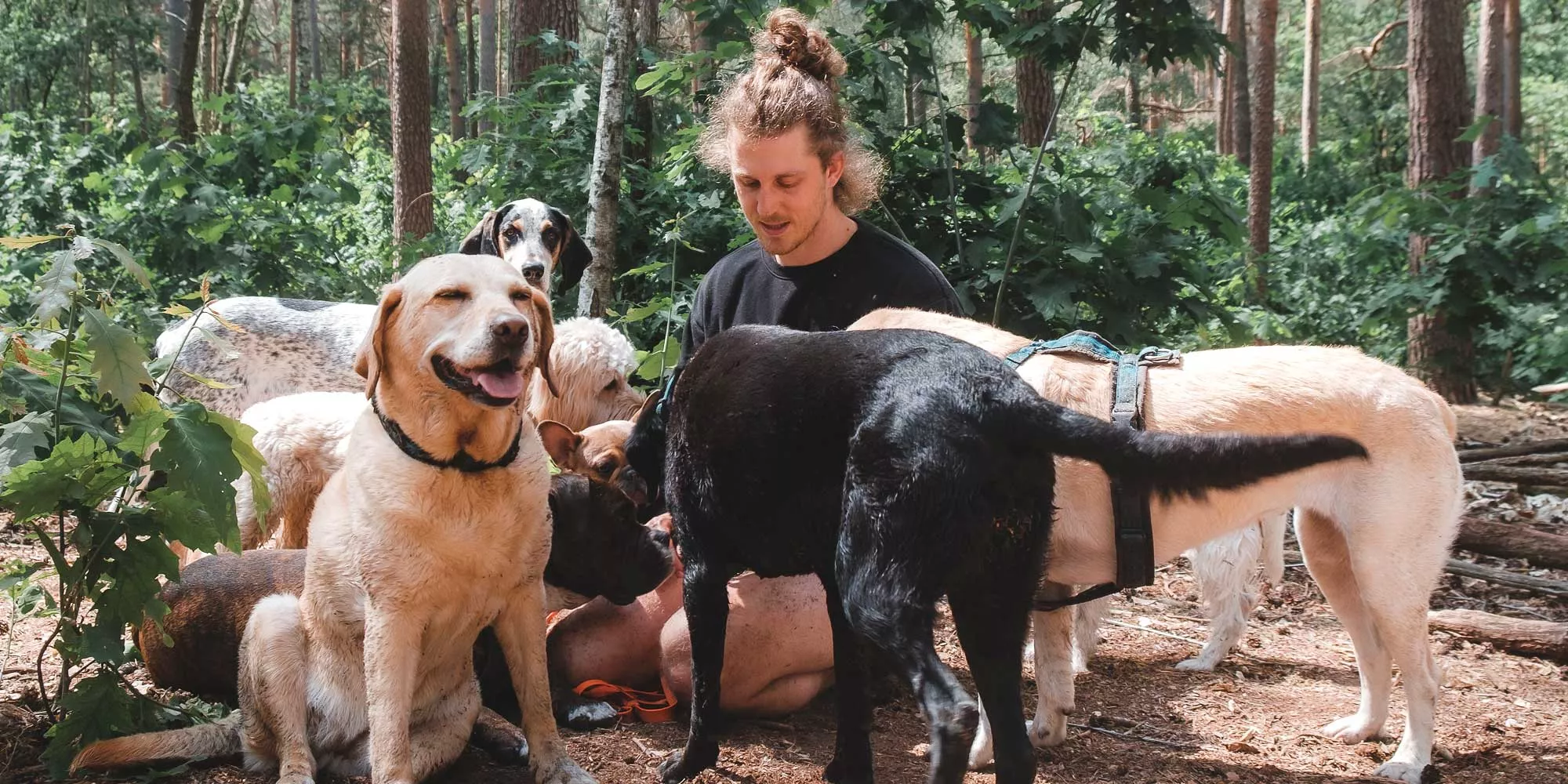 ninonell-woofpack-dogwalker-und-hundetrainer-muenchen