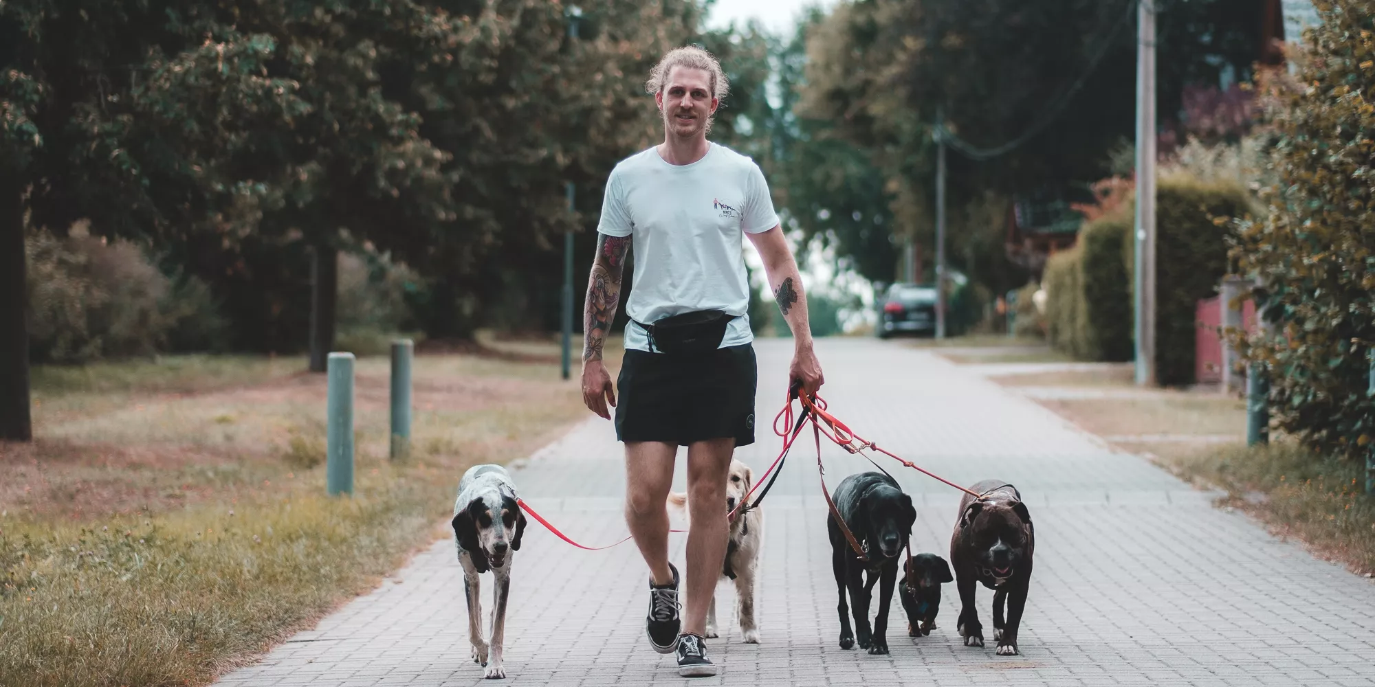 Nino Nell beim Dogwalking in München